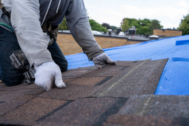 Best Storm Damage Roof Repair  in Pasadena Hills, FL