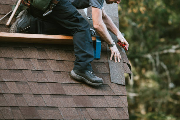 Best Metal Roofing Contractor  in Pasadena Hills, FL